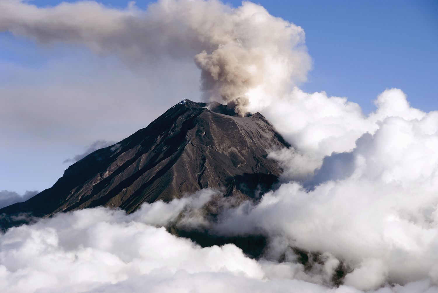 Free printables for volcano lessons