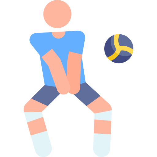 Volleyball
