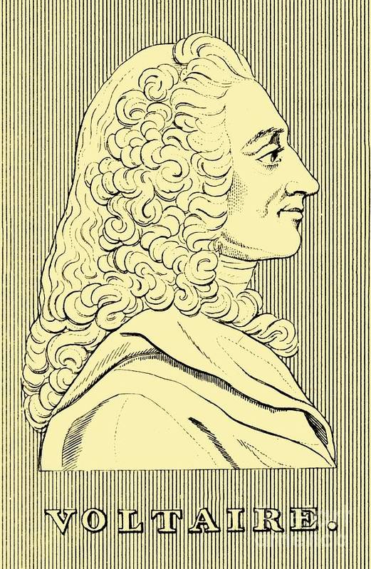 Voltaire art print by print collector