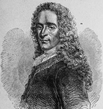 Voltaire illustrations stock voltaire vectors
