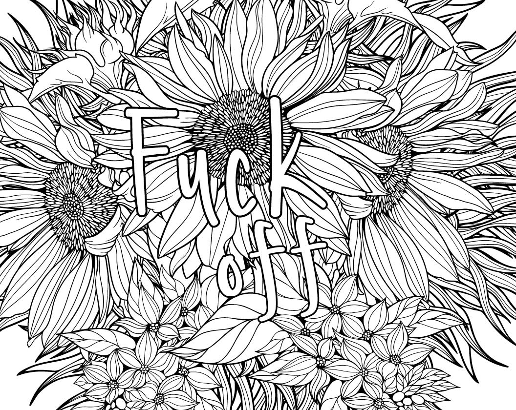 My big coloring book of swears irreverent coloring book for adults