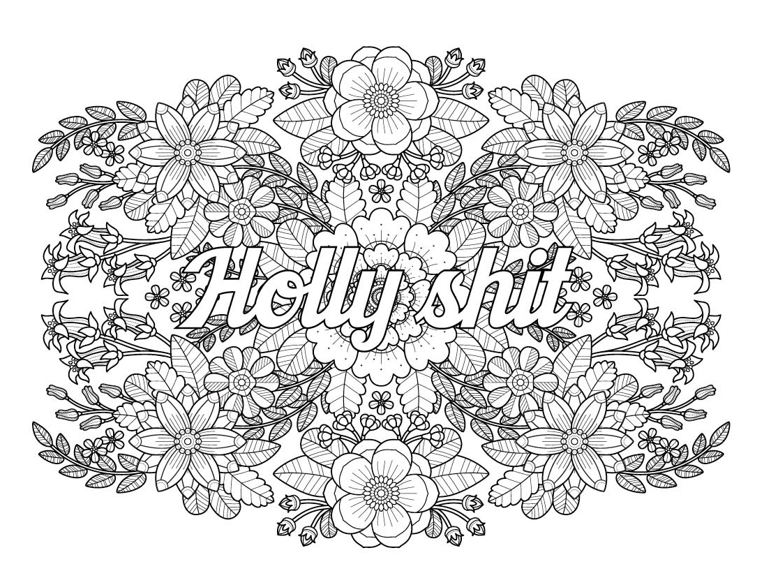 My big coloring book of swears irreverent coloring book for adults