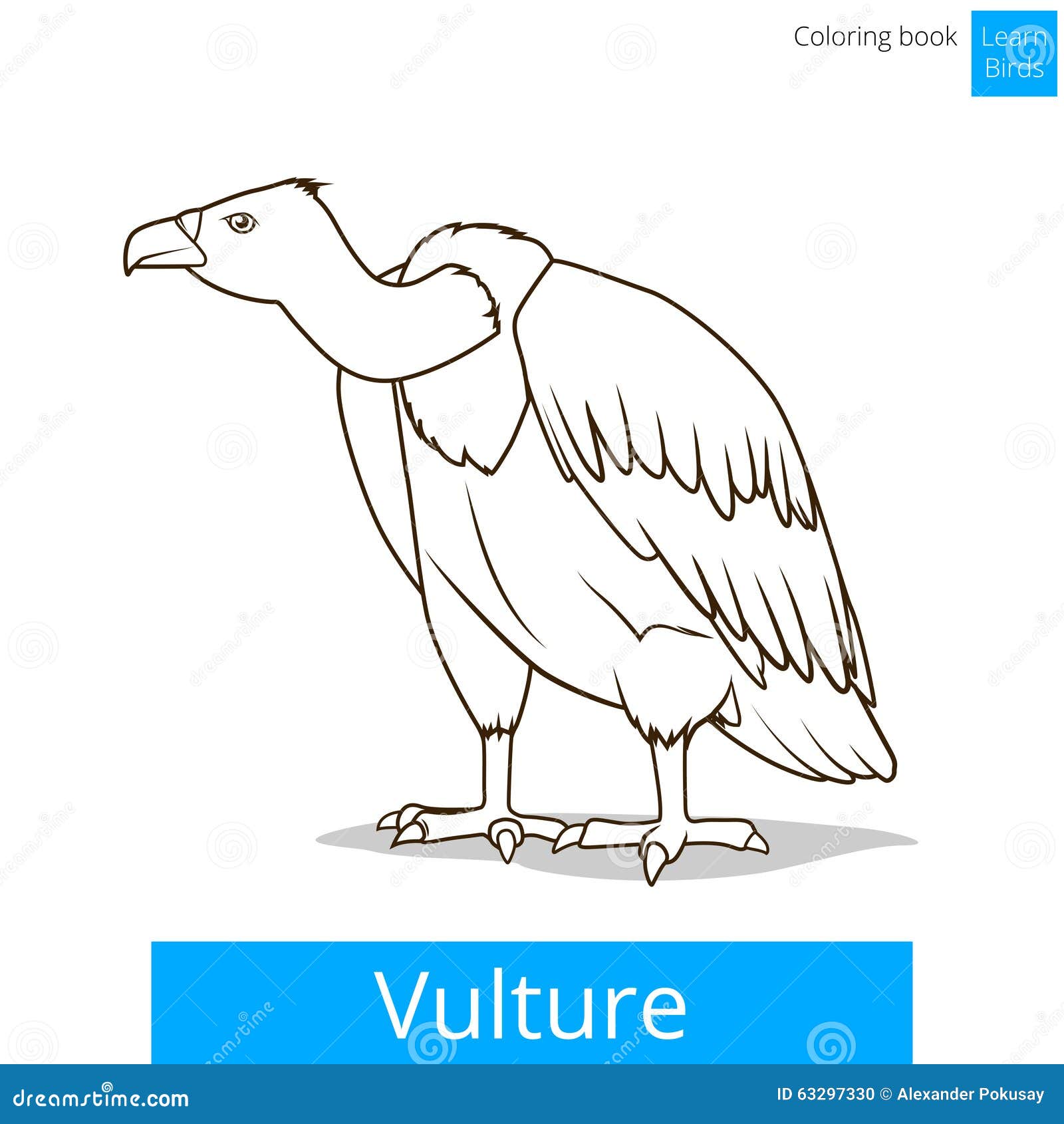 Vulture bird learn birds coloring book vector stock vector
