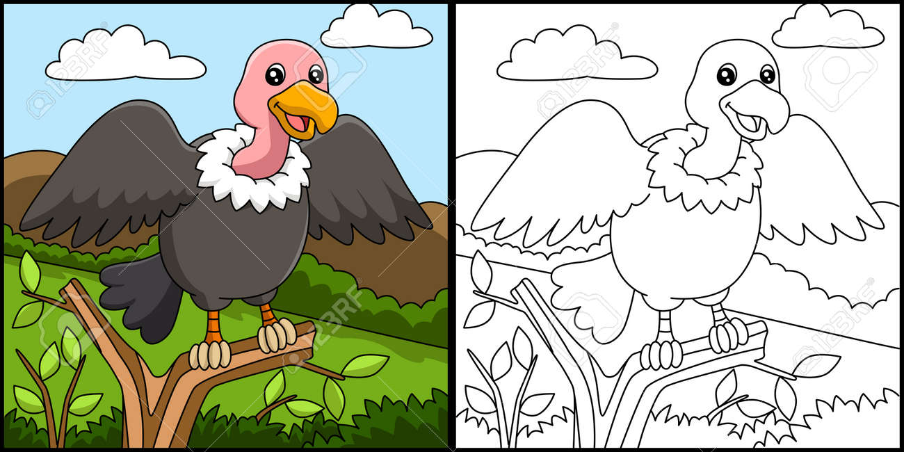Vulture coloring page vector illustration royalty free svg cliparts vectors and stock illustration image