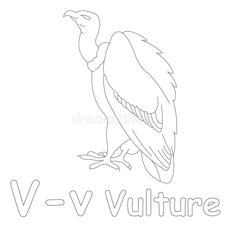 V for vulture coloring page stock illustration