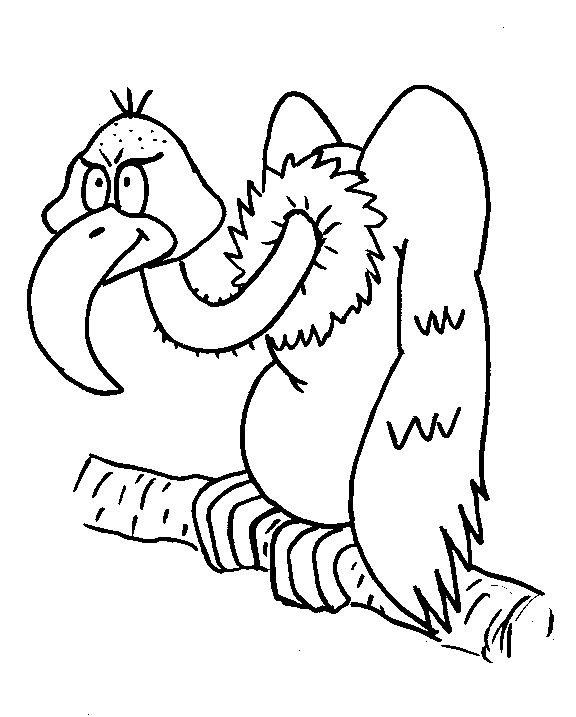 Vulture bird coloring pages animal coloring pages fish coloring page