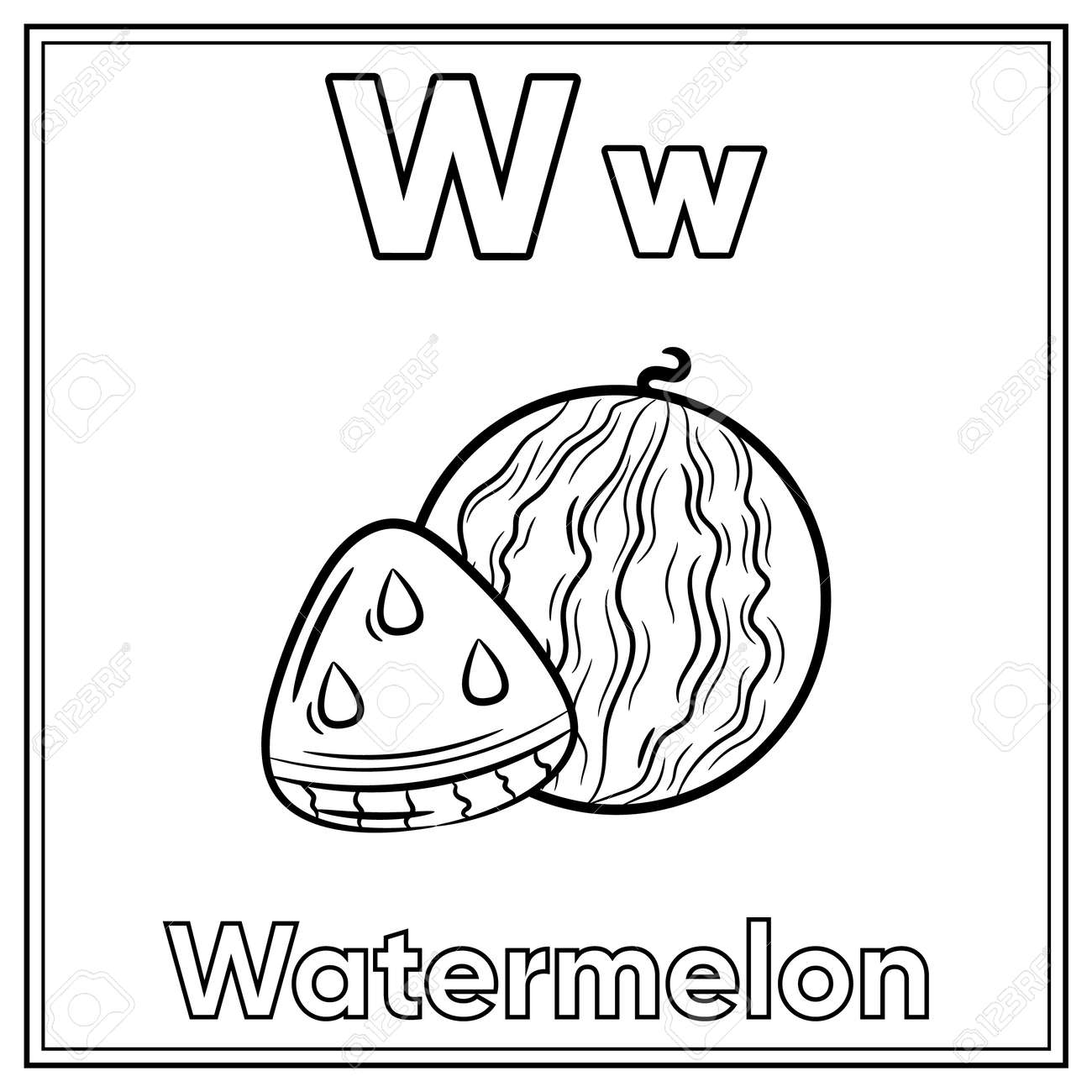 Alphabet flashcard letter w with cute watermelon drawing sketch for coloring royalty free svg cliparts vectors and stock illustration image