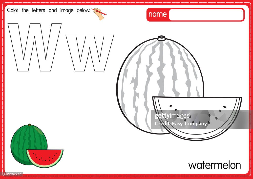 Vector illustration of kids alphabet coloring book page with outlined clip art to color letter w for watermelon high