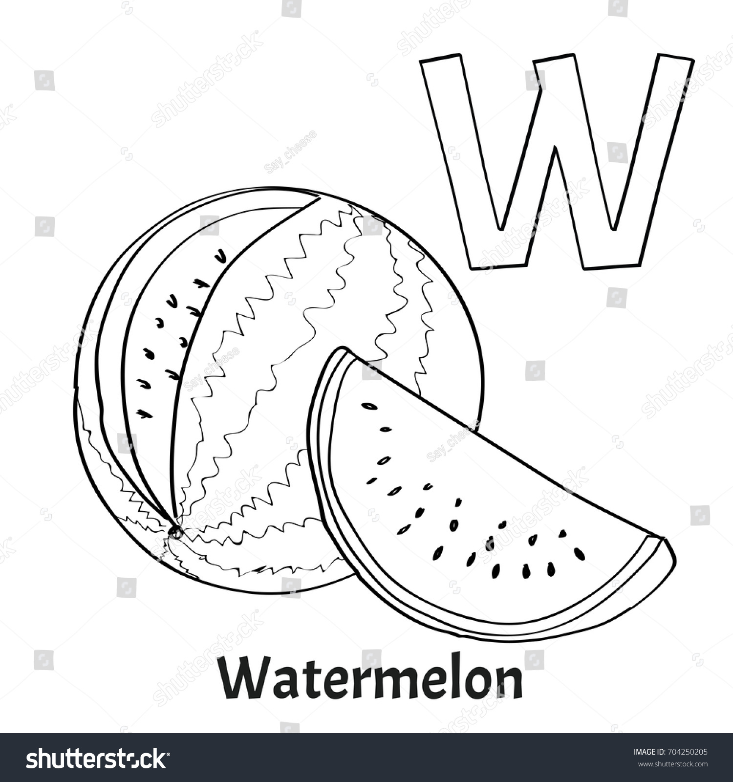 Alphabet letter w coloring page watermelon stock vector royalty free