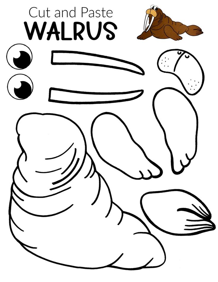 Free printable walrus craft for kids arctic animals crafts arctic animals preschool animal crafts