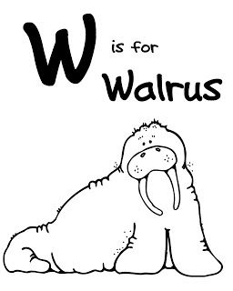 Letter w walrus zoo coloring pages zoo animal coloring pages animal coloring pages
