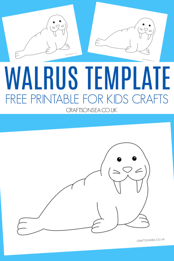 Walrus template free printable