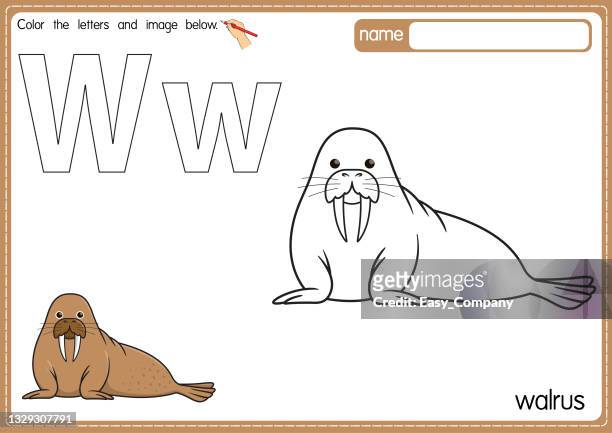 Vector illustration of kids alphabet coloring book page with outlined clip art to color letter w for walrus high
