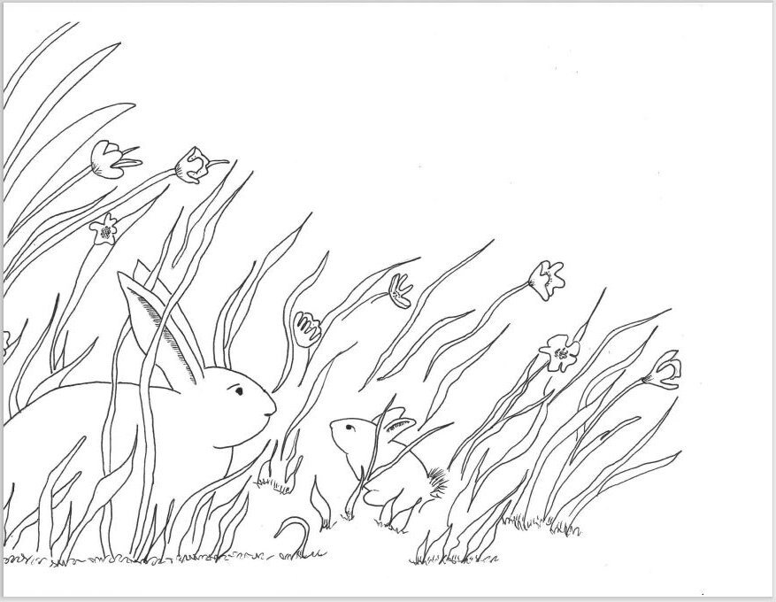 Dr seuss coloring