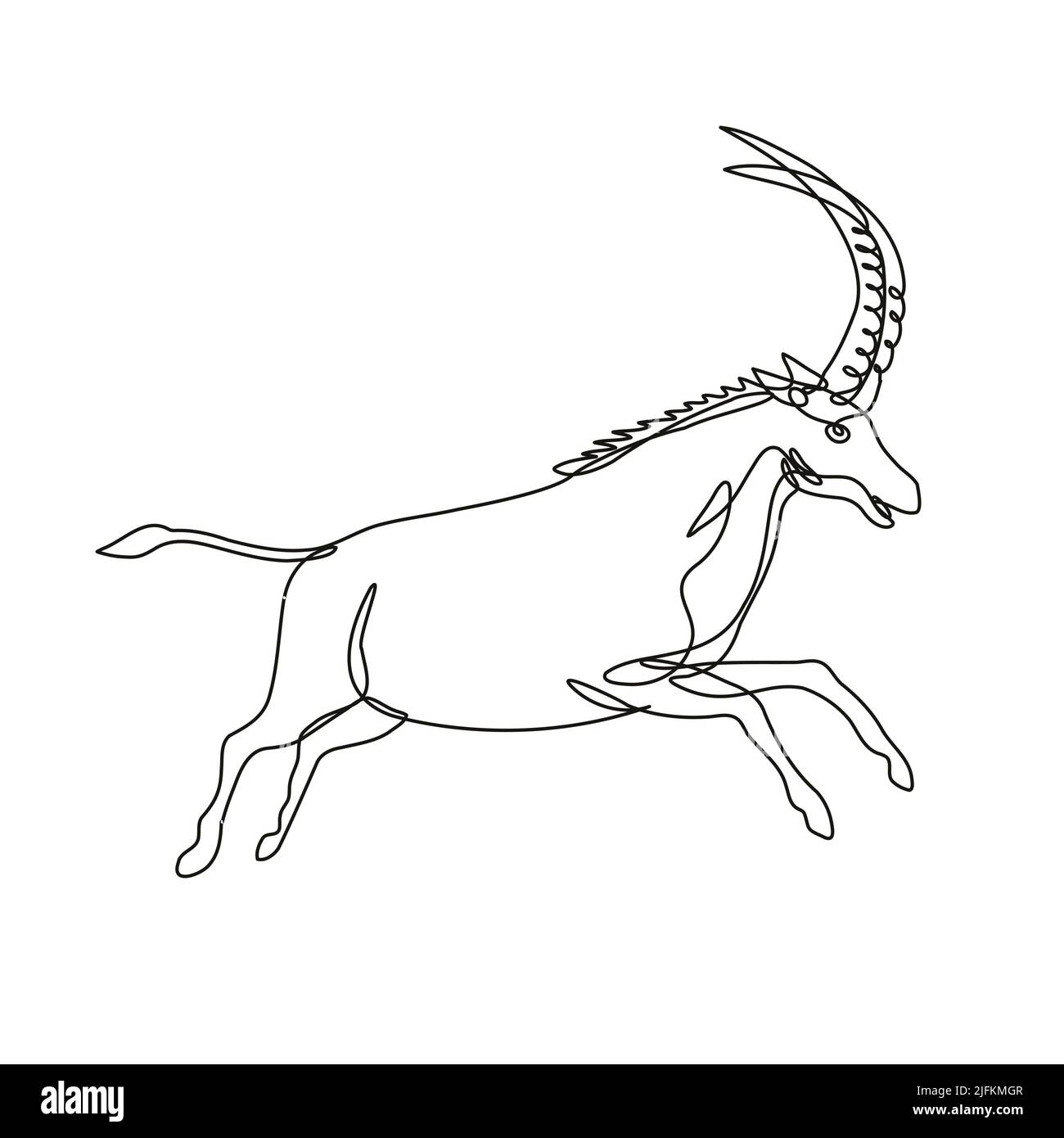Antilope zeichnung