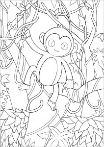 Monkeys