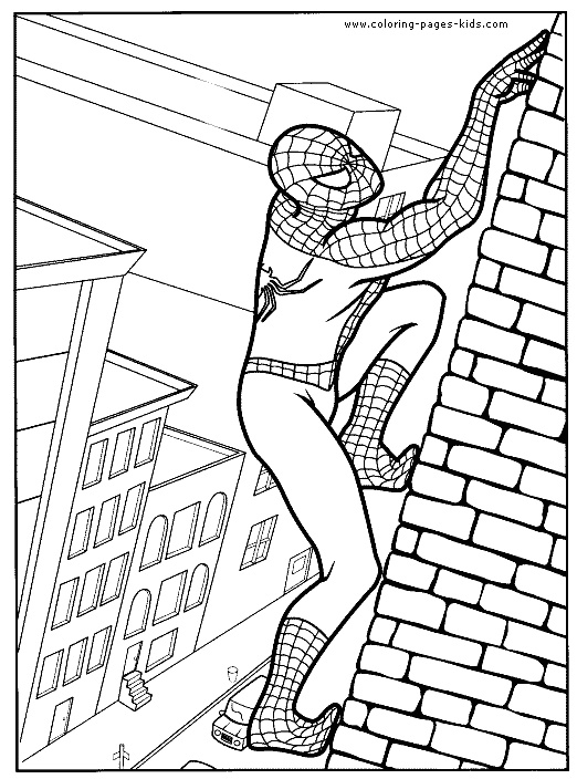 Spider