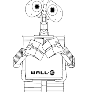 Wall