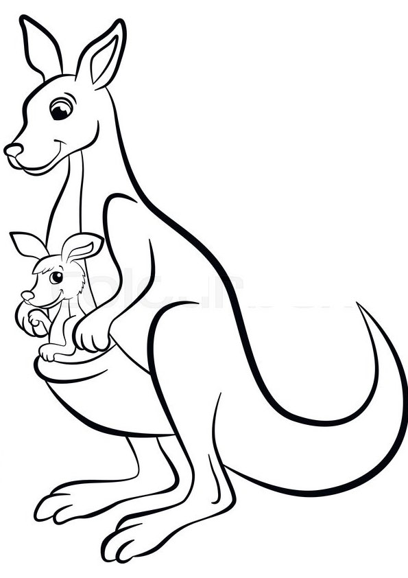 Coloring pages printable kangaroo with baby kangaroo coloring pages