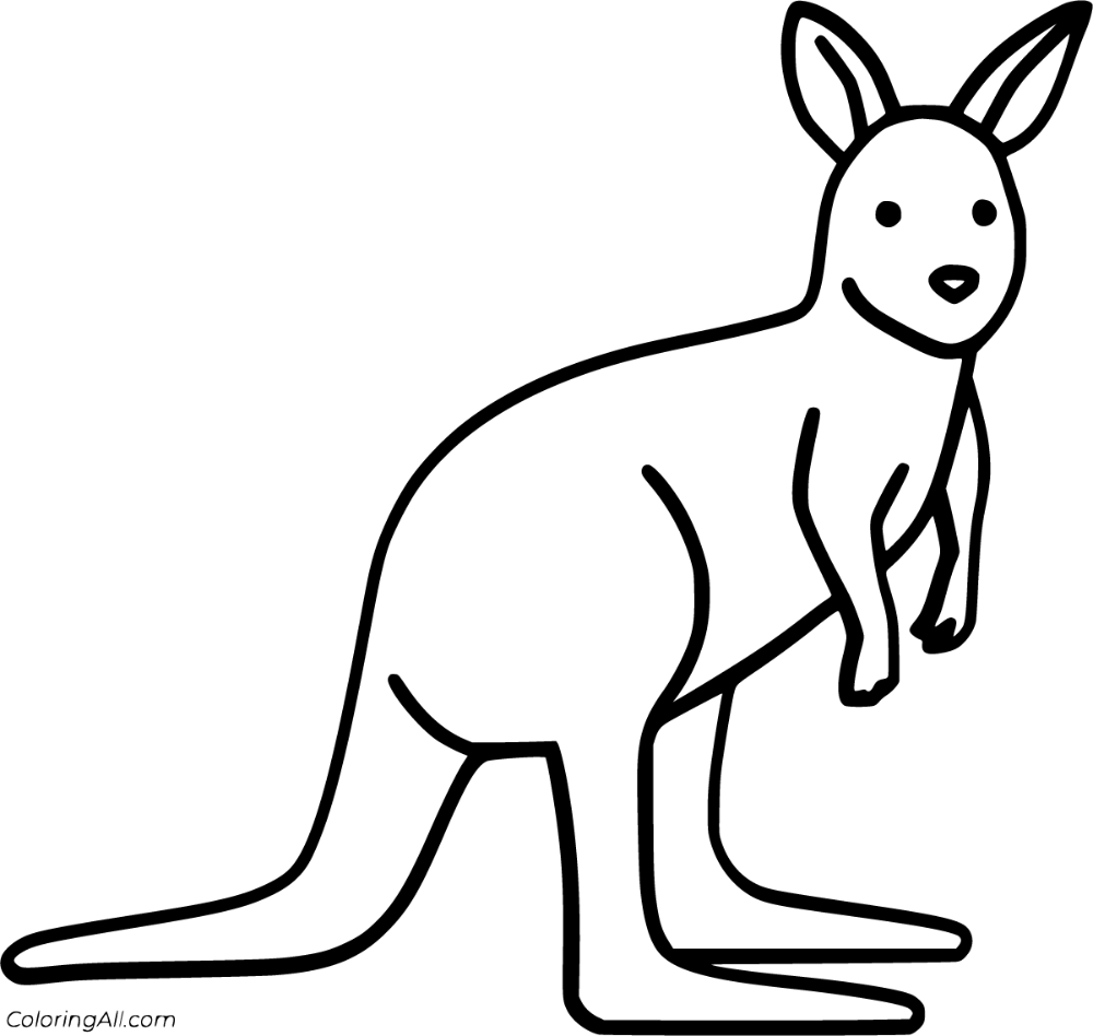 Colorful wallaby coloring pages