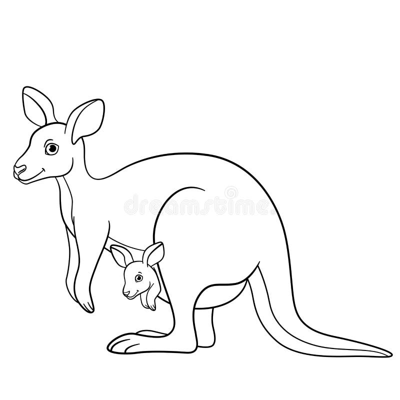 Coloring pages mother kangaroo with her little baby stock vector