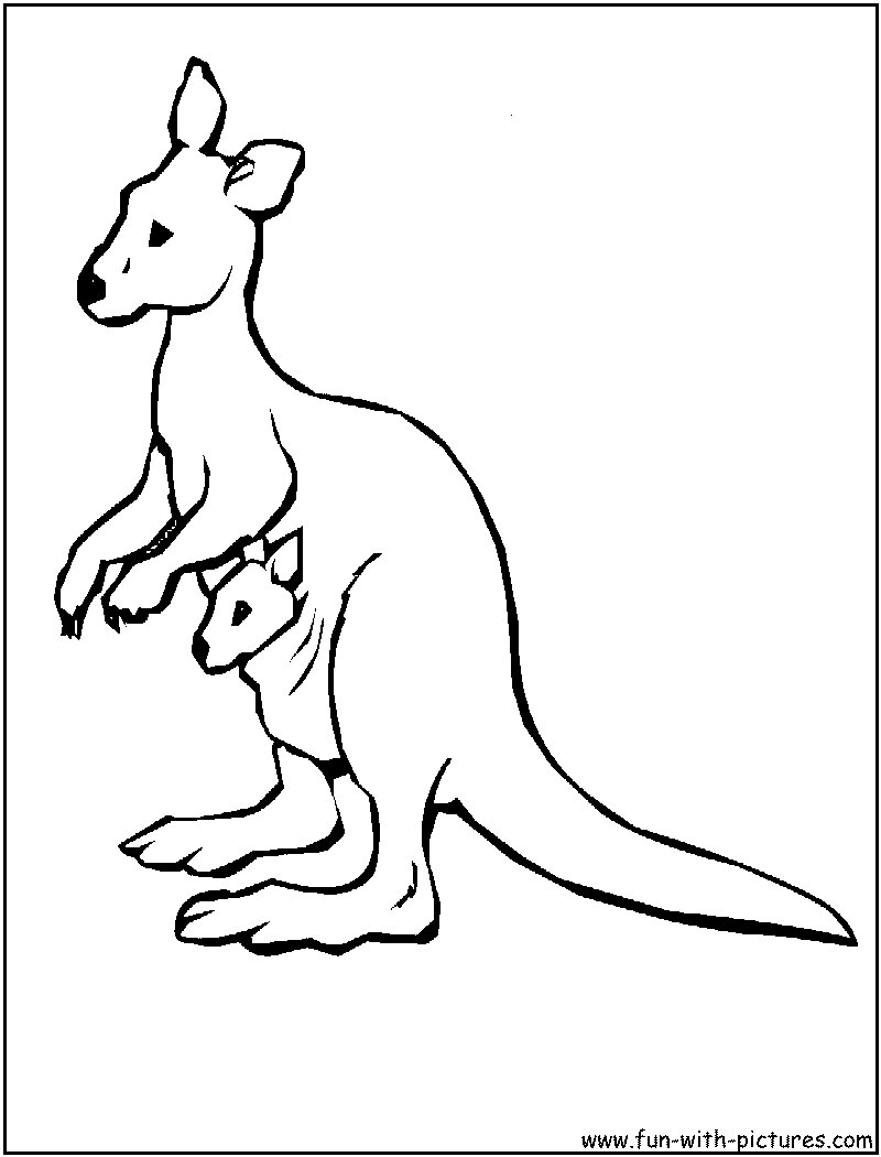 Australian animals coloring pages