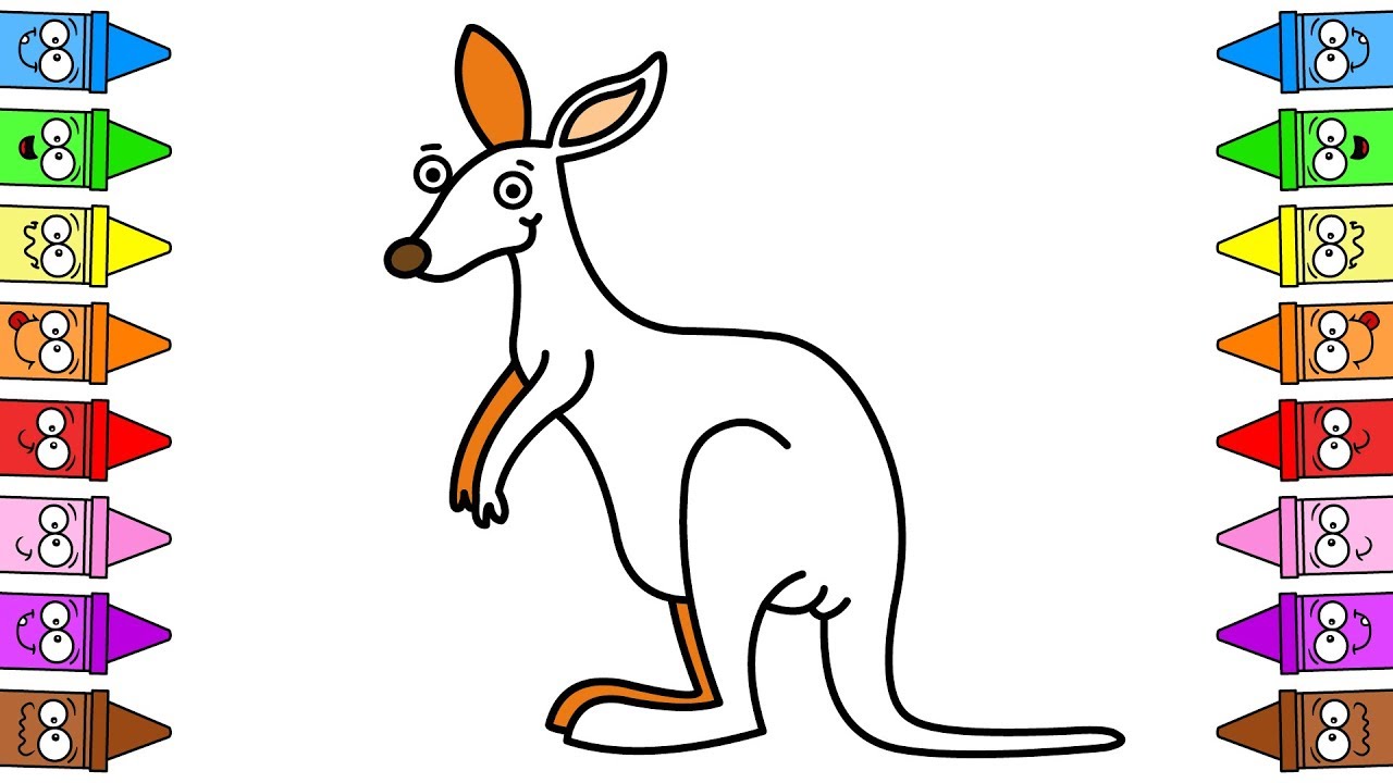 Drawing kangaroo kangaroo coloring page