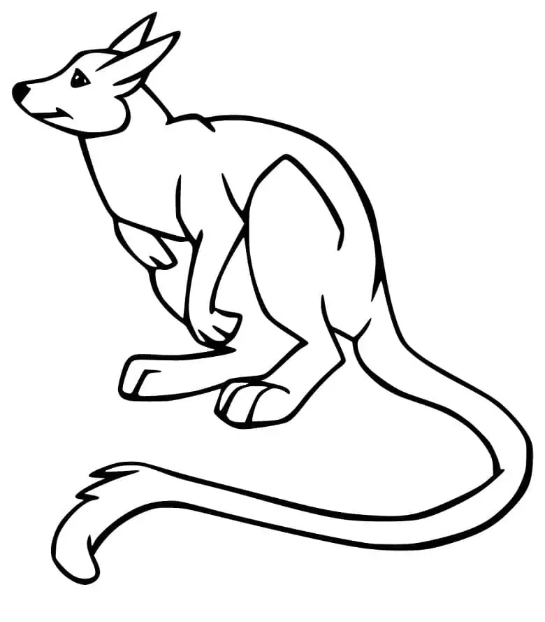 Cute wallaby coloring page
