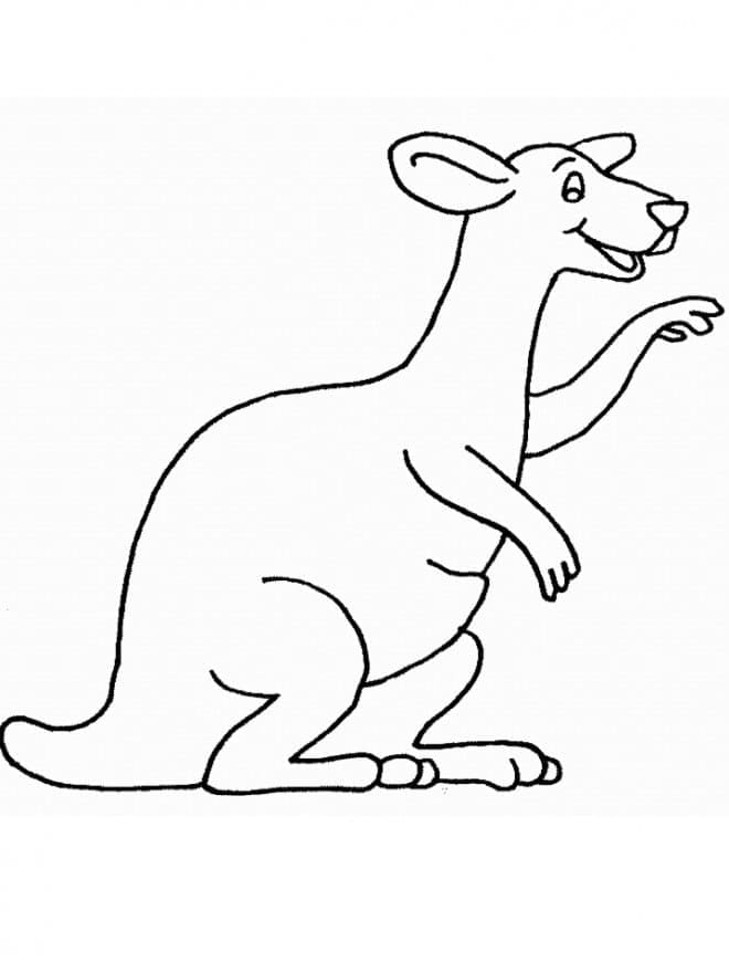 Free printable kangaroo coloring page