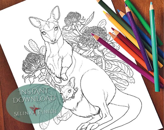 Wallaby australian animals and wildflowers coloring pagedigi