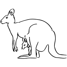 Top free printable kangaroo coloring pages online