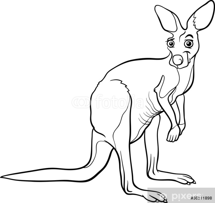 Poster kangaroo animal cartoon coloring page