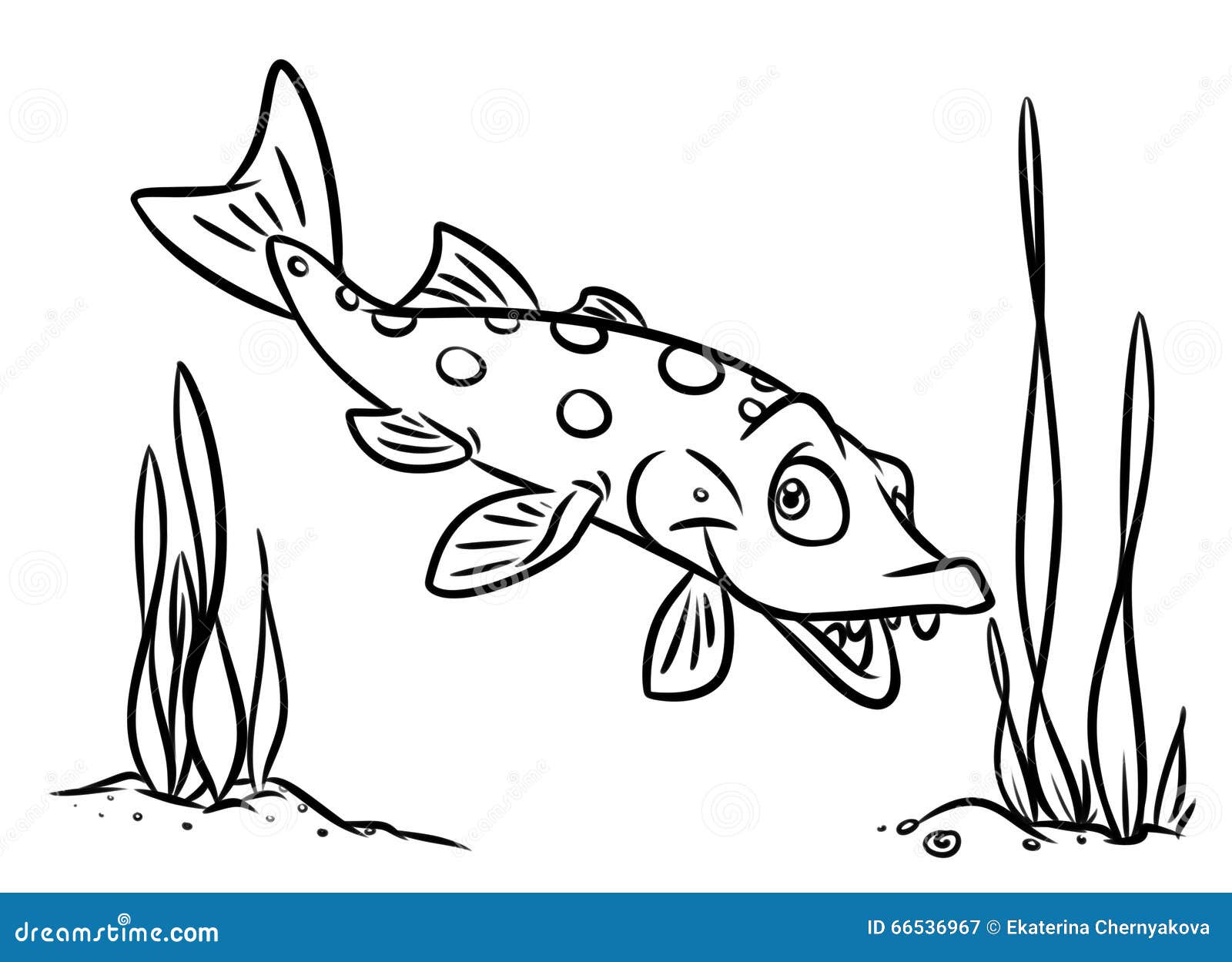 Fish pike coloring pages stock illustration illustration of coloring