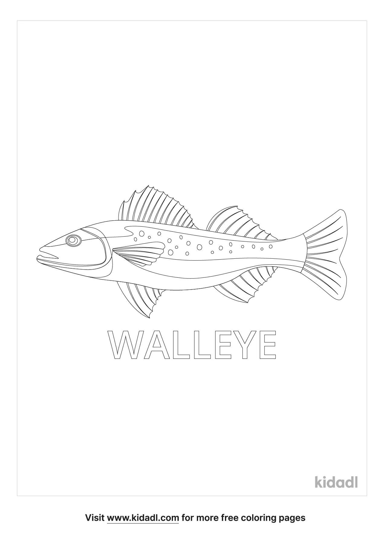 Free walleye coloring page coloring page printables
