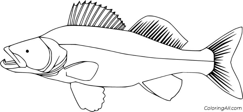 Free printable walleye coloring pages in vector format easy to print from any device and automatically fit aâ fish coloring page coloring pages fish outline