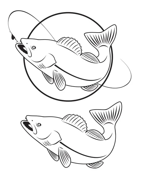 Walleye vector images