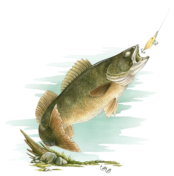 Walleye fine art print limited edition watercolor angler fisherman