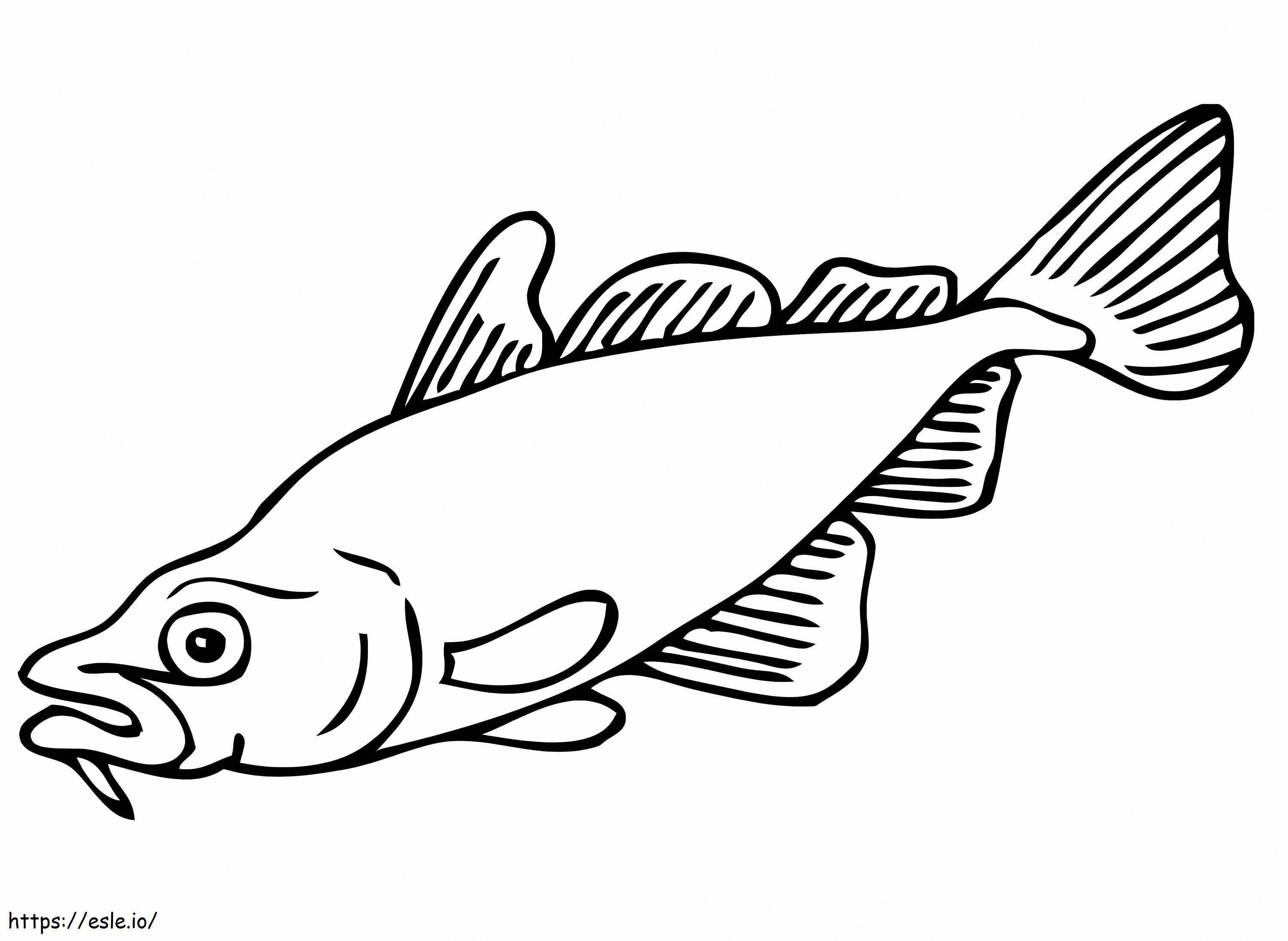 Carp fish coloring page