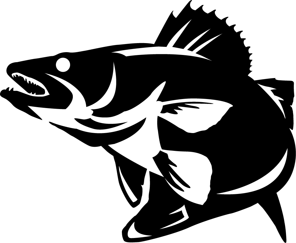 Images about walleye coloring pages trout