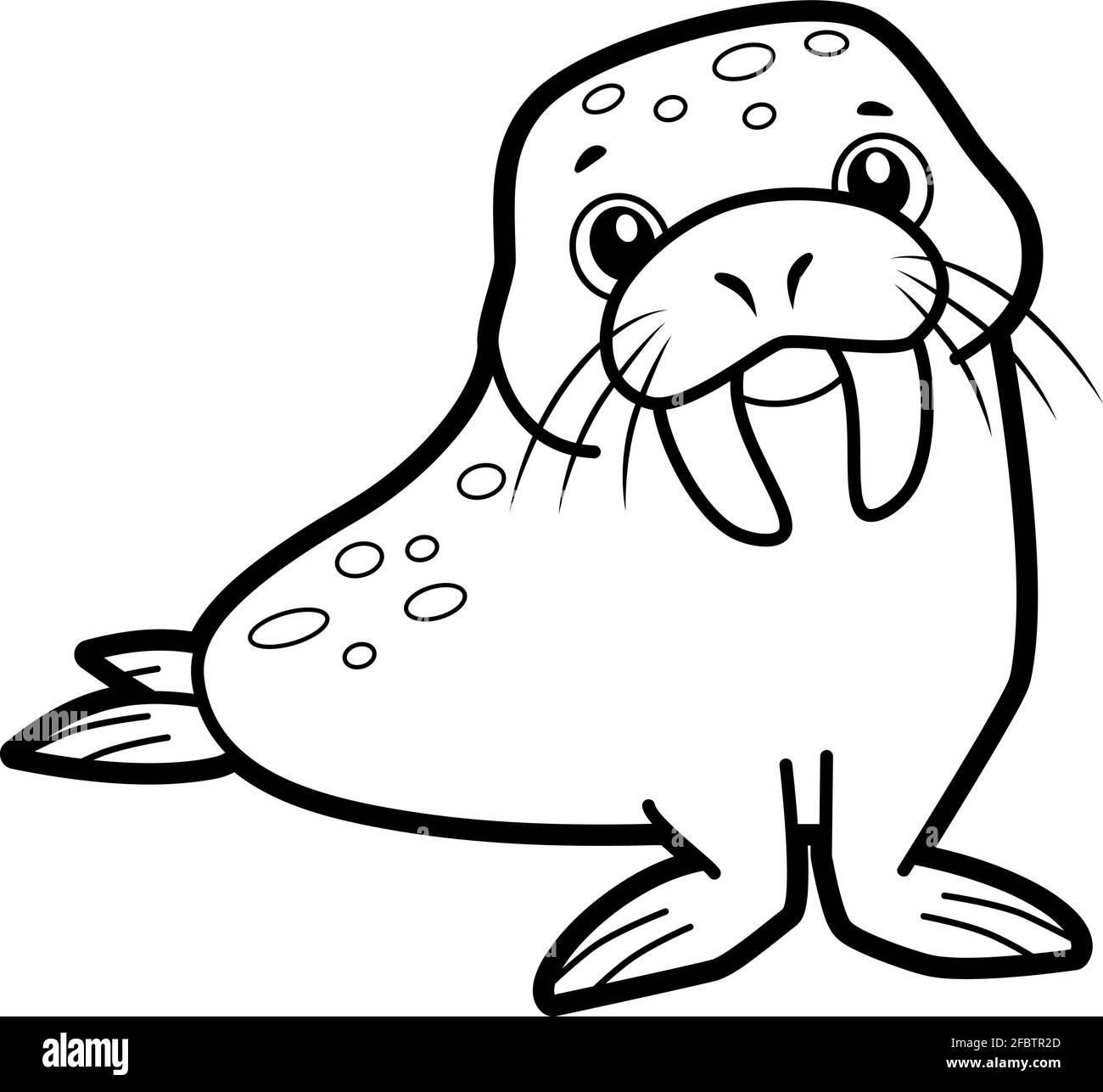 Coloring book or page for kids walrus black and white vector illustration stock vector image art