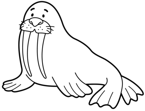 Walrus coloring page free printable coloring pages