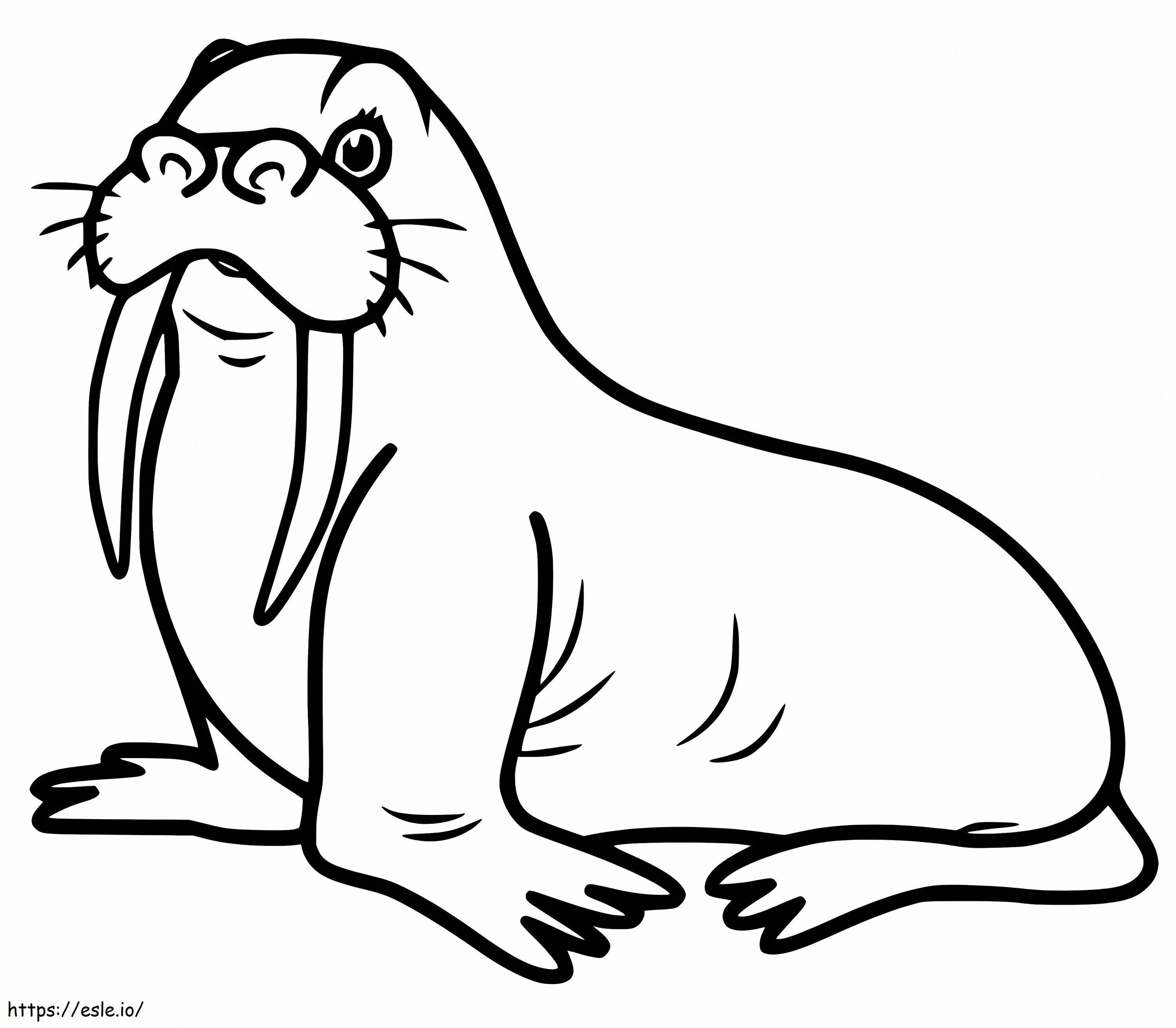 Walrus coloring page