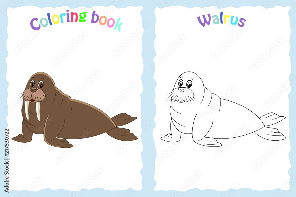 Coloring book page for preschool children with colorful walrus vector