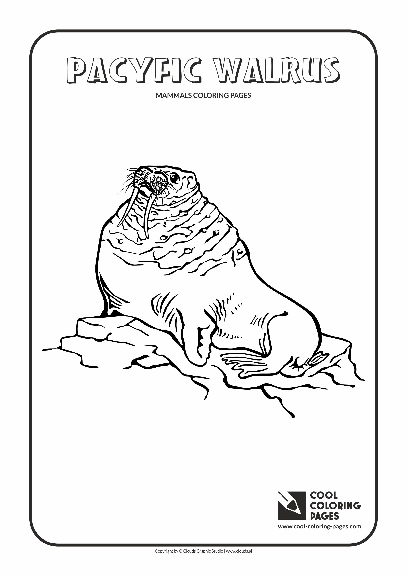 Cool coloring pages pacific walrus coloring page