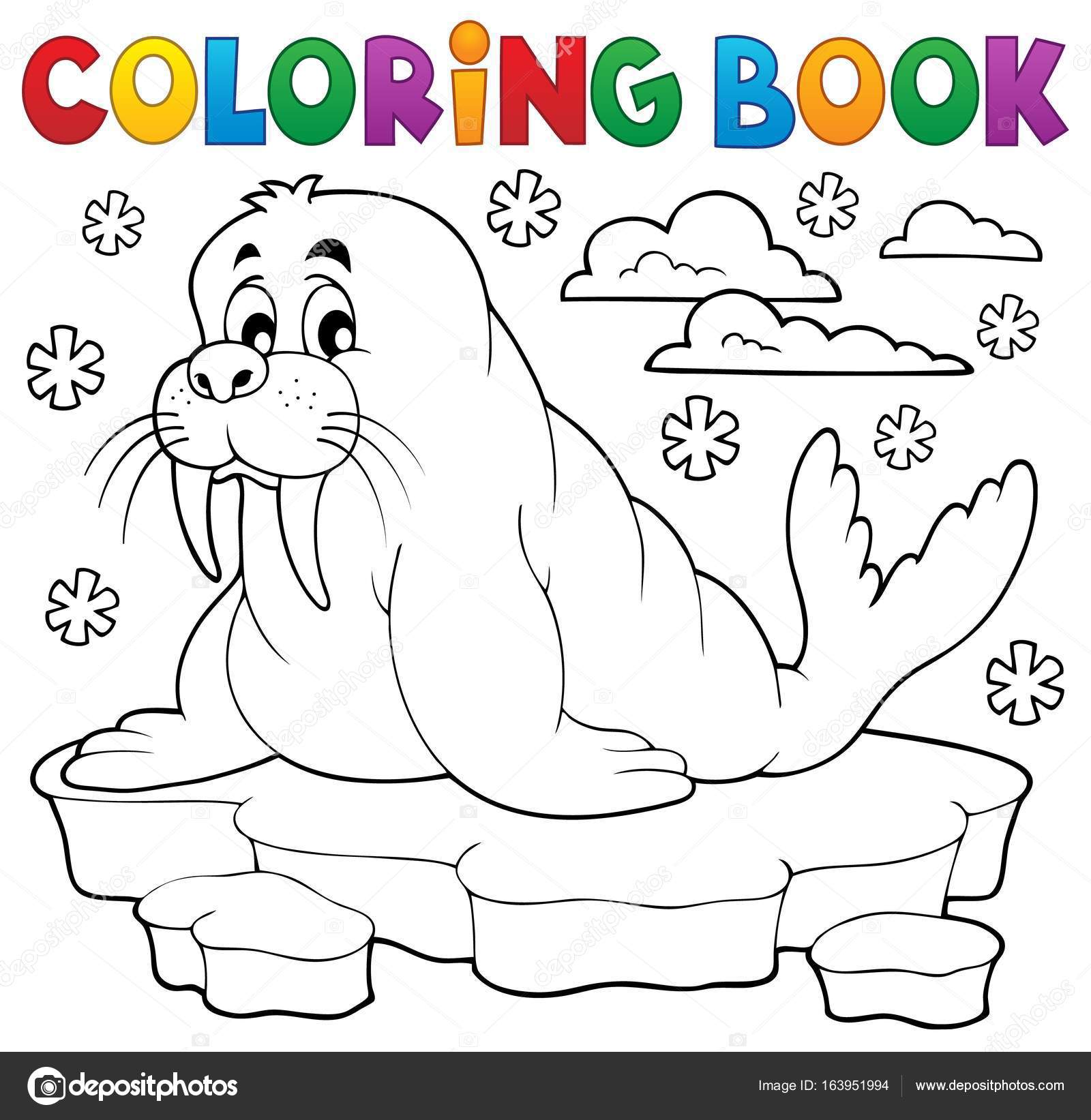 Coloring book walrus theme stock vector by clairev