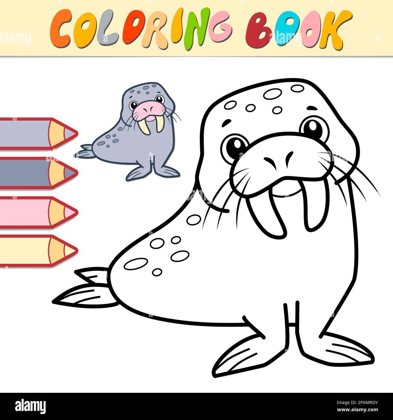 Coloring book or page for kids walrus black and white illustration stock photo