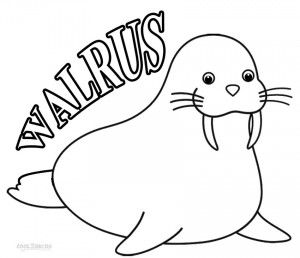 Walrus coloring pag animal coloring pag deer coloring pag giraffe coloring pag