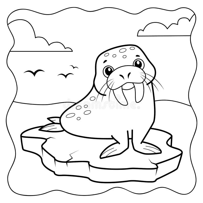 Walrus coloring stock illustrations â walrus coloring stock illustrations vectors clipart