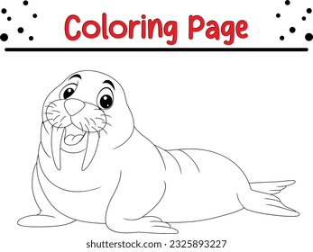 Walrus coloring images stock photos d objects vectors