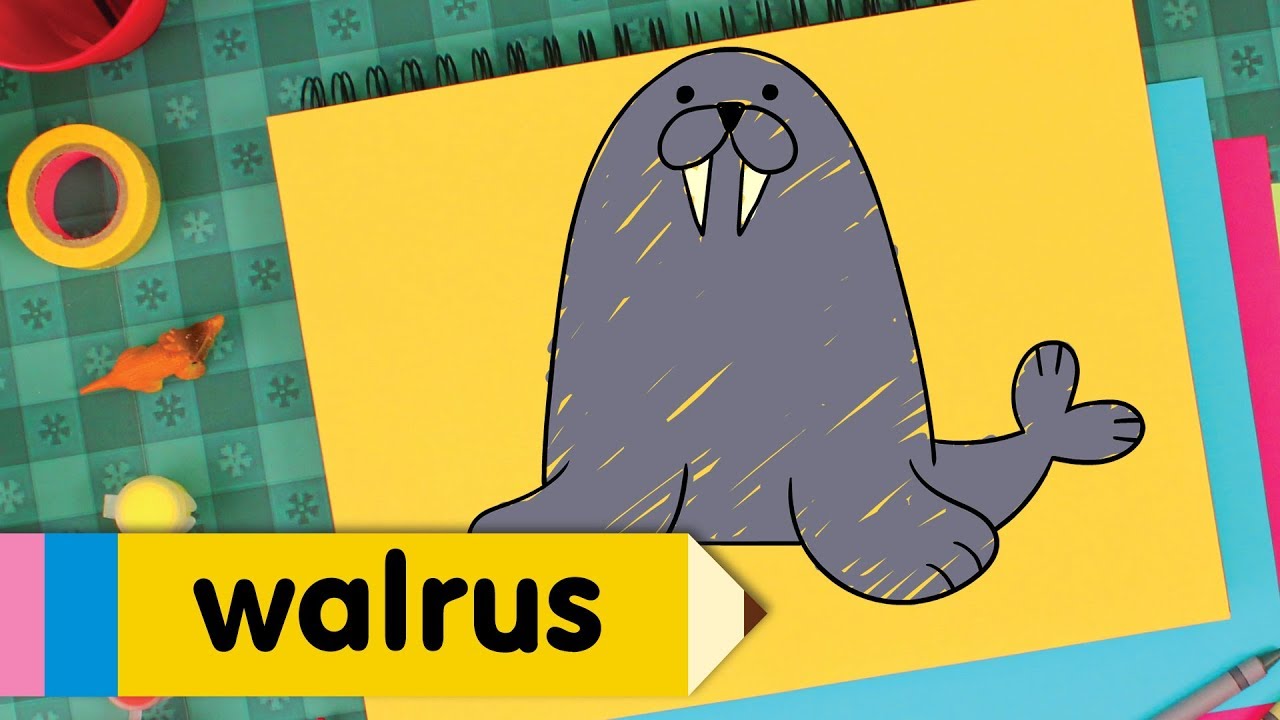 Learn how to draw a walrus super simple draw step by step